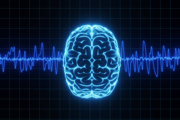 Origine delle onde cerebrali